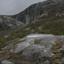 Artscape.Nordland.43